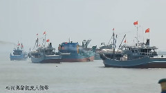 华语群星 - 痴情泉州港
