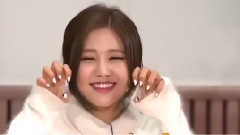 AOA - 猫咪撒娇特技 Cut