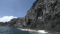 笑红尘