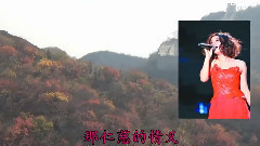 天耀中华