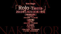 中森明菜 - Rojo Tierra(ロホ ティエラ)