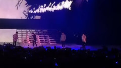 Winner - Color Ring