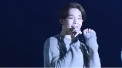 Winner - 不要暧昧