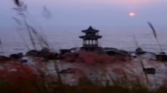 寄情三亚