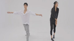 龙井 - 尘埃