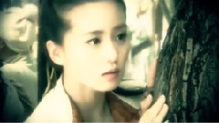 霍建华,刘诗诗 - 情戒