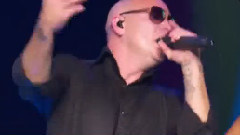 Pitbull - Timber