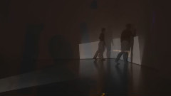 谭维维 - 受 跨界艺术秀
