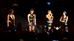 2NE1 - Twin Towers Alive 2013 Park Bom Surprise Birthday Wish