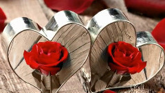 Leo Rojas - The Rose
