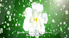 Sofia Kallgren - My Sweet Jasmine