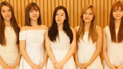 Berry Good - 2015新年问候
