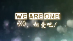 EXO,EXO-K,EXO-M - 我们相爱一周年