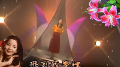 邓丽君 - 又见炊烟 混音版