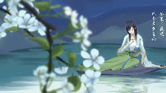 网络音乐,动漫专属 - 梨花雨