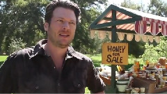 Blake Shelton - Honey Bee MV