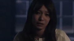 日本群星 - 日本