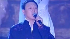 韩磊 - 鸿雁