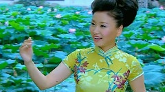 华语群星,乐动城市 - 无锡是个好地方