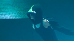 Super Junior - Down Eunhyuk SOLO
