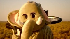 Coldplay - Paradise