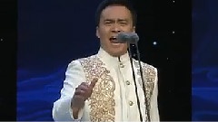 华语群星 - 国风