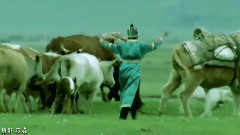 乌兰托娅,华语群星 - 我的家乡内蒙古
