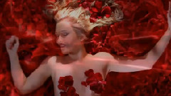 Leo Rojas - The Rose
