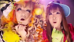 SDN48 - 淡路岛のタマネギ