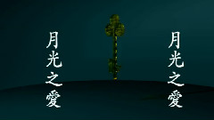 Papain - 月光之爱