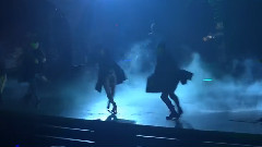 Lady Gaga - Heavy Metal Lover