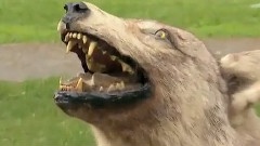 Surprise Dog Statue