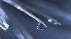 轻音乐 - 光与雨