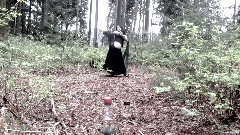 舞蹈视频 - Танец живота