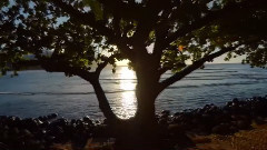 音乐短片 - Shores Of Love