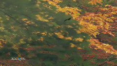 音乐短片 - 云飘尘缈