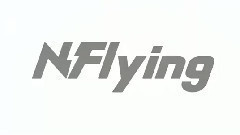 N.Flying - Awesome