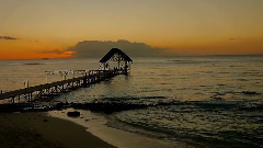 音乐短片 - 走进毛里求斯 海滩酒店