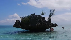 音乐短片 - 走进毛里求斯 海洋之旅