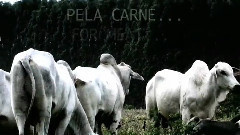 音乐短片 - Stonecoat – родной транс