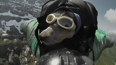 音乐短片 - Dean Potter BASE Jumps With His Dog