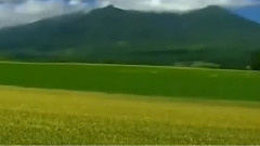 华语群星,民乐群星 - 来到草原爱上云