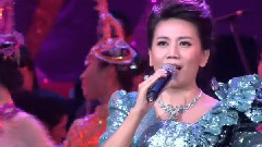 华语群星 - 天津歌舞剧院青年女高音歌唱家张鹤公益演唱会