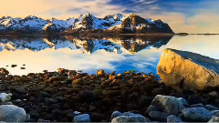 音乐短片 - Tears Of Cherry Blossoms 桜の涙 Shirfine