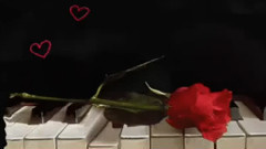 音乐短片 - 德尔德拉纪念曲