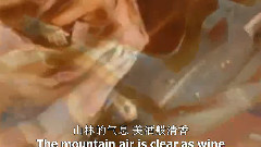 音乐短片 - 辛德勒名单