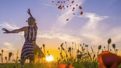 音乐短片 - Summer Love