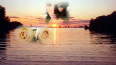 音乐短片 - Claro De Luna