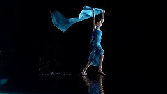 音乐短片 - Song Of Freedom