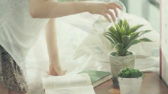 LYn - Love Me For Me
